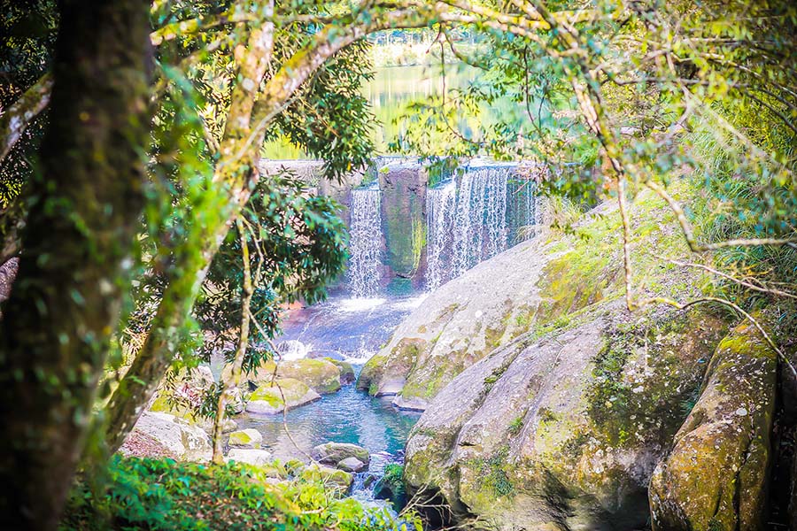 杉林溪森林遊樂區可以說是台灣的四大人間仙境之一-2