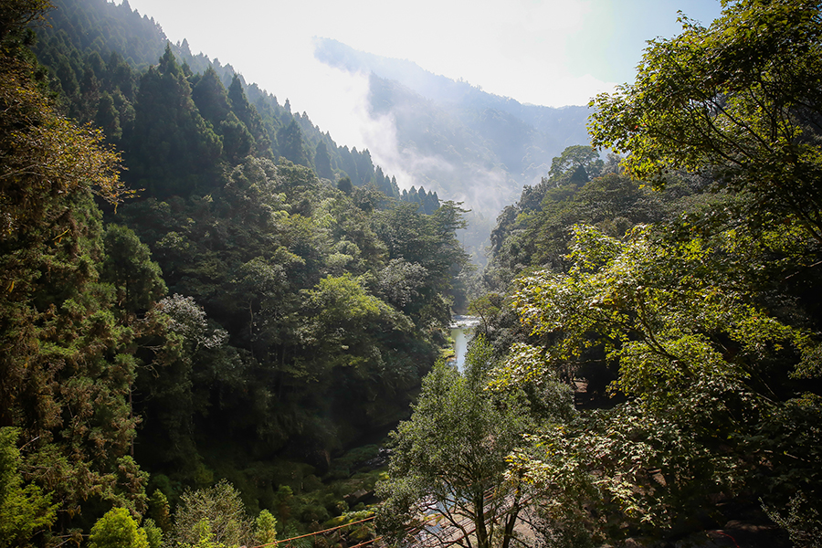 杉林溪森林遊樂區具有自然原始的山林丘壑及享受高負離子的森林浴場