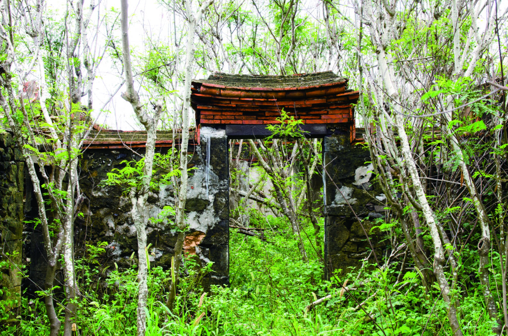 南方四島充滿古色古香的建築，但島上居民極少